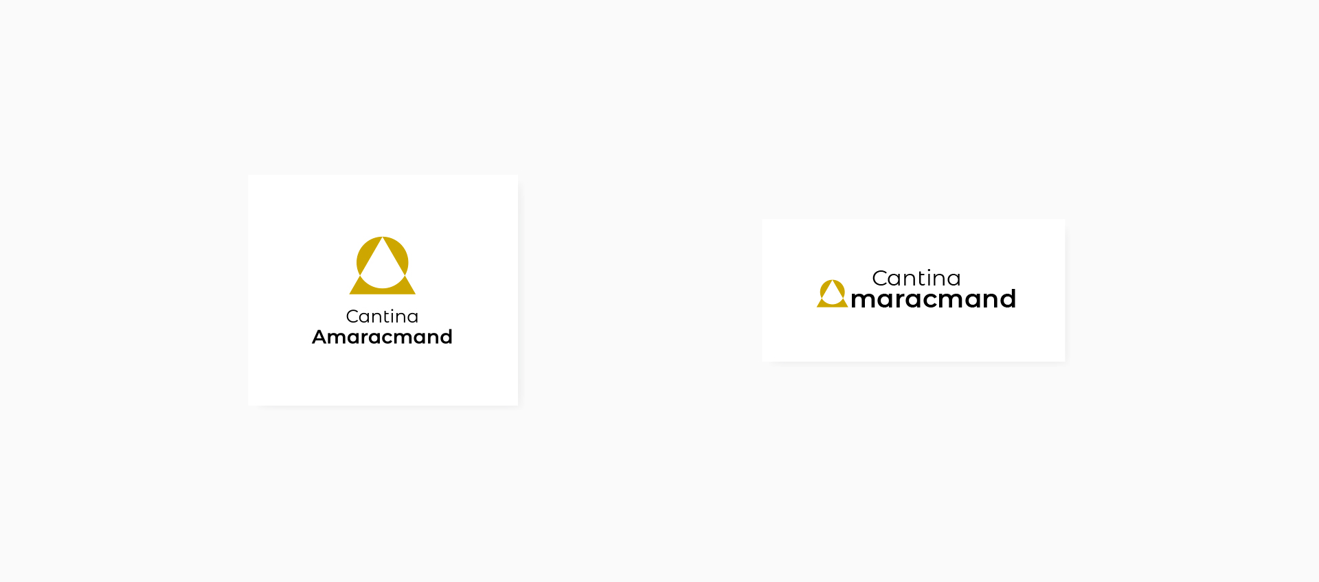 2 diversi formati del logo da utilizzare in base ai formati in cui deve essere disposto